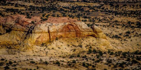 Detail From Head Of The Rocks Overlook on Scenic Byway 12, UT