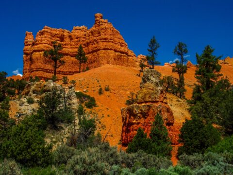 Detail From Red Canyon, UT