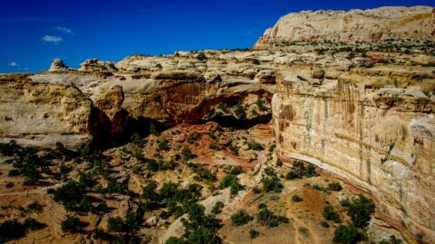 Hickman Natural Bridge In Capitol Reef National Park, UT