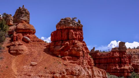 Hoodoos On The Side Of Scenic Byway 12 In Red Canyon, UT