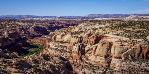 Look At Calf Creek From The Hogback Along Scenic Byway 12, UT