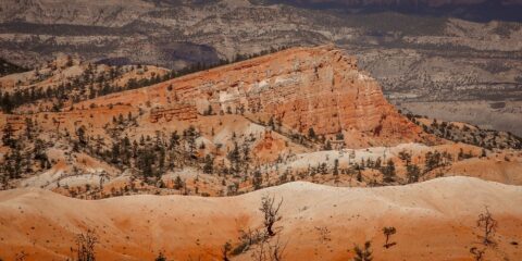 Look At Sinking Ship From Sunrise Point In Bryce Canyon National Park, UT