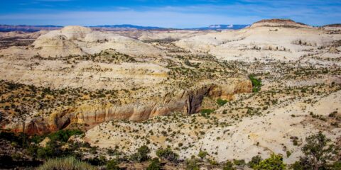 Look Down At Calf Creek Canyon From The Hogback Along Scenic Byway 12, UT