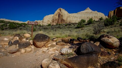 On The Trail Through Capitol Reef National Park, UT