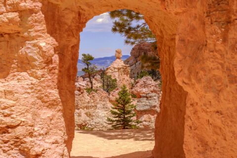 Passage Through Sediment Wall Near Queen’s Garden In Bryce Canyon National Park, UT
