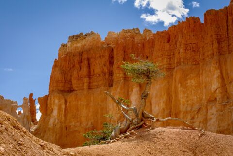 Prayer in Bryce Canyon National Park, UT