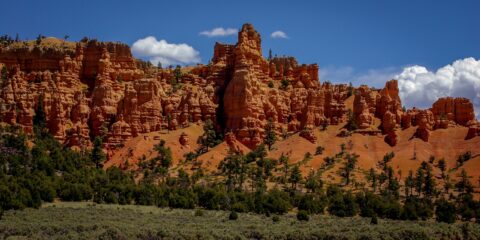 Red Canyon Scenery, UT