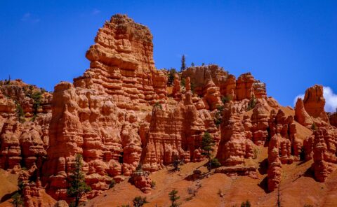 Sediment Formations In Red Canyon, UT