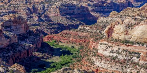 Spring Colors of Grand Staircase Escalante, Look From Scenic Byway 12, UT