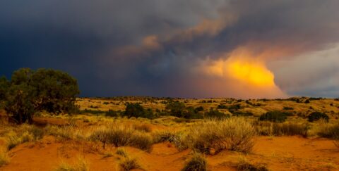 Storm Is Coming To Flat Sands, Moab, UT