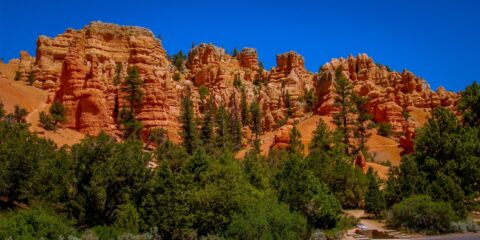 Strong Color Contrasts In Red Canyon, UT