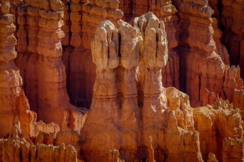 “Three Peanuts” In Bryce Canyon National Park, UT