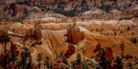 Trail Through Queen’s Garden in Bryce Canyon National Park, UT