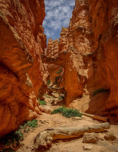 Two Bridges Along Navajo Trail in Bryce Canyon National Park, UT