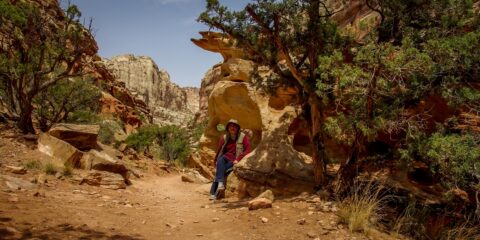 rrasha In Capitol Reef National Park, UT
