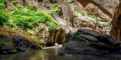 Final Point of My Hike Upstream Virgin River Narrows In Zion National Park, UT