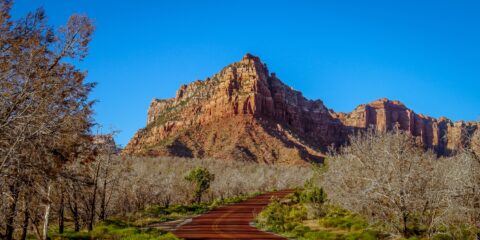 Kolob Terrace Road Near Zion National Park, UT