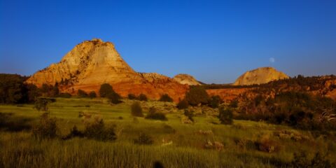 Kolob Terrace Scenery In Vicinity Of Zion National Park, UT