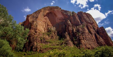Mountain Of The Sun Looking From The Grotto In Zion National Park, UT