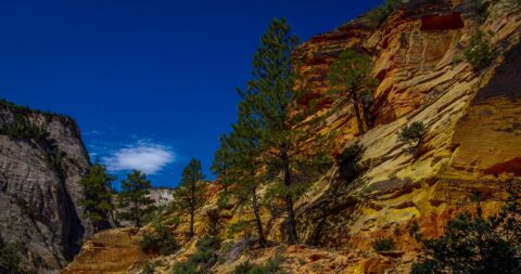 On Zion Canyon Overlook Trail In Zion National Park, UT