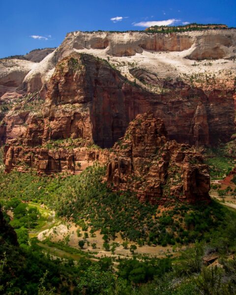 Virgin River Big Bend In Zion National Park, UT