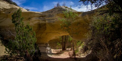 Covered Wagon Bridge In Grand Staircase Escalante National Monument, UT