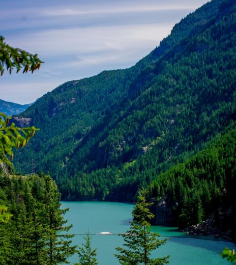 Dam On Skagit River Creates Gorge Lake In North Cascades National Park, WA