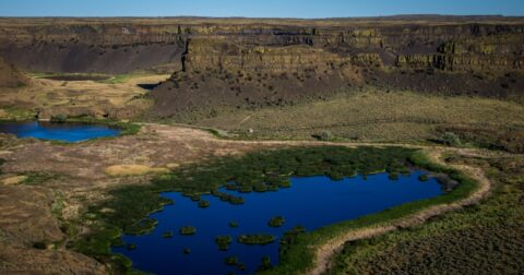 Dry Falls Landscape, WA