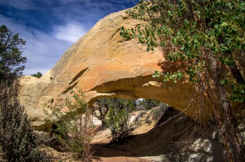 Massive Covered Wagon Bridge In Grand Staircase Escalante National Monument, UT