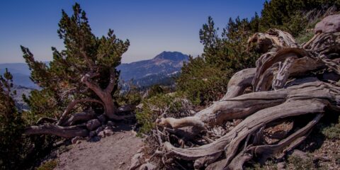 On Trail To Lassen Peak In Lassen Volcanic National Park, CA