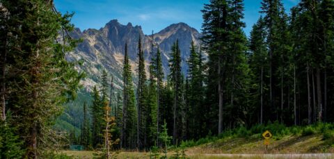 Scenic Highway 20 Through North Cascades National Park, WA