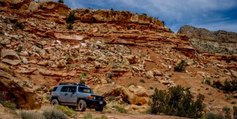 On Rough Road To Toweep Area Of North Rim Grand Canyon National Park, AZ