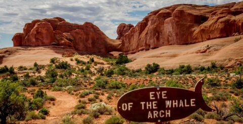At Trailhead To Eye Of The Whale Arch, Arches National Park, Moab, UT