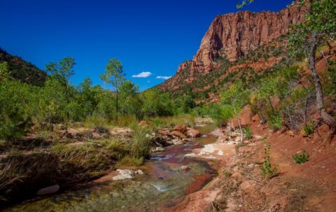 Beautiful La Verkin Creek In Kolob Canyon Section Of Zion National Park, UT
