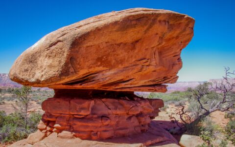 Big Mushroom Shaped Rock Along Bill Hall Trail On Esplanade In Grand Canyon National Park, AZ