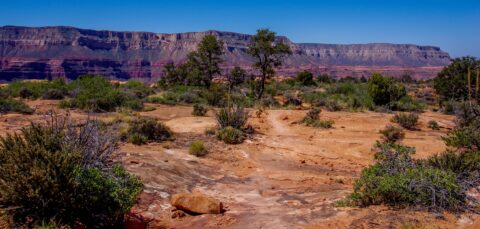 Bill Hall Trail Across Esplanade In Grand Canyon National Park, AZ