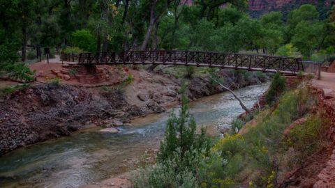Bridge Over Virgin River At Trailhead To Angels Landing In Zion National Park, UT