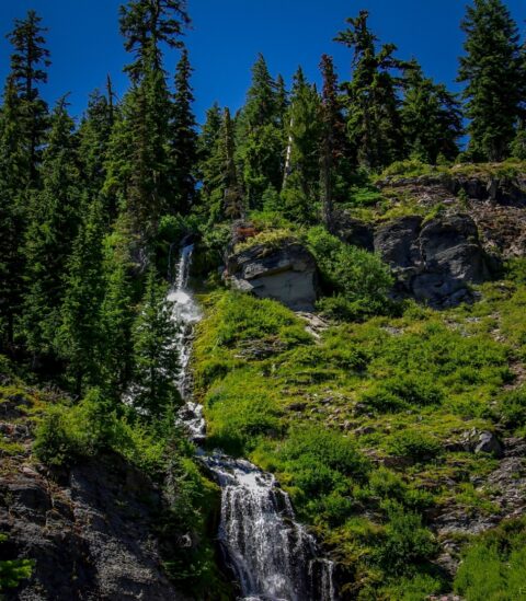 Duwee Falls At Crater Lake, OR