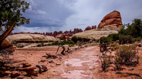 Elephant Hill Trail In Needles, Canyonlands National Park, Moab, UT