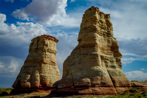 Elephant’s Feet Along Highway 160 Near Tonalea, AZ