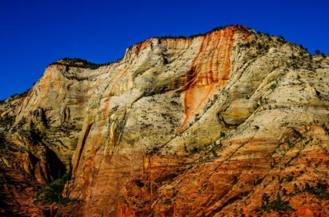 Great White Throne In Zion National Park, UT