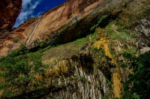 High Wall Of Weeping Rock In Zion National Park, UT