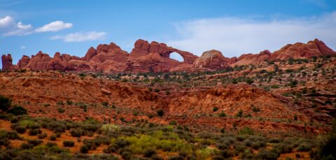 Landscape At Tapestry Arch In Arches National Park, Moab, UT