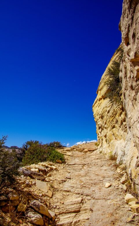 Last Steep Grade To Reach Observation Point In Zion National Park, UT