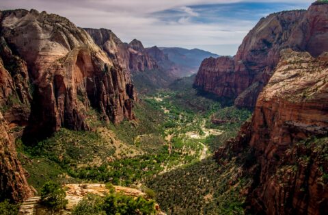 Look Down At Zion Canyon From Angels Landing, Zion National Park, UT
