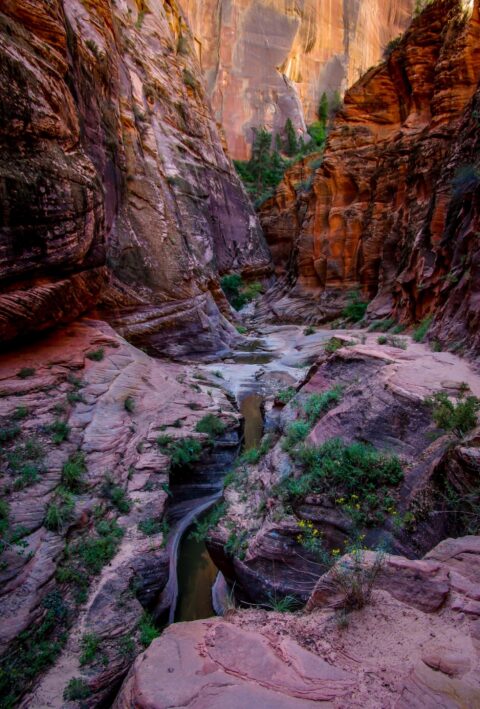 Look Down Echo Canyon On Trail To Observation Point In Zion National Park, UT