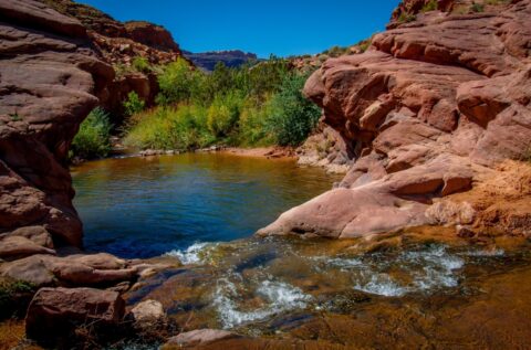 Mill Creek Pond In Moab, UT