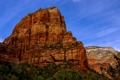 My Favorite Angels Landing In Zion National Park, UT