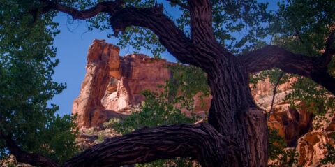 On Trail Through Hunter Canyon, Moab, UT