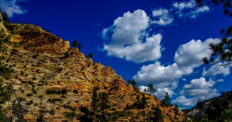 Picturesque Sandstone Along Trail To Observation Point In Zion National Park, UT